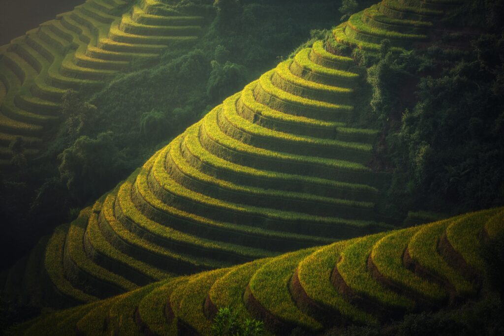 A New Era of Farming