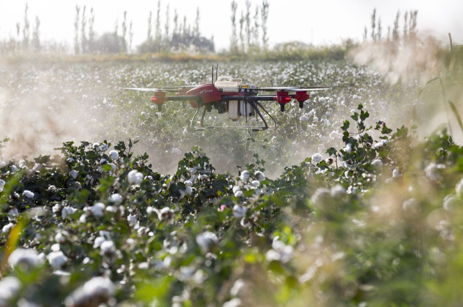 Drone monitoring crops in a smart farming field using AI technology