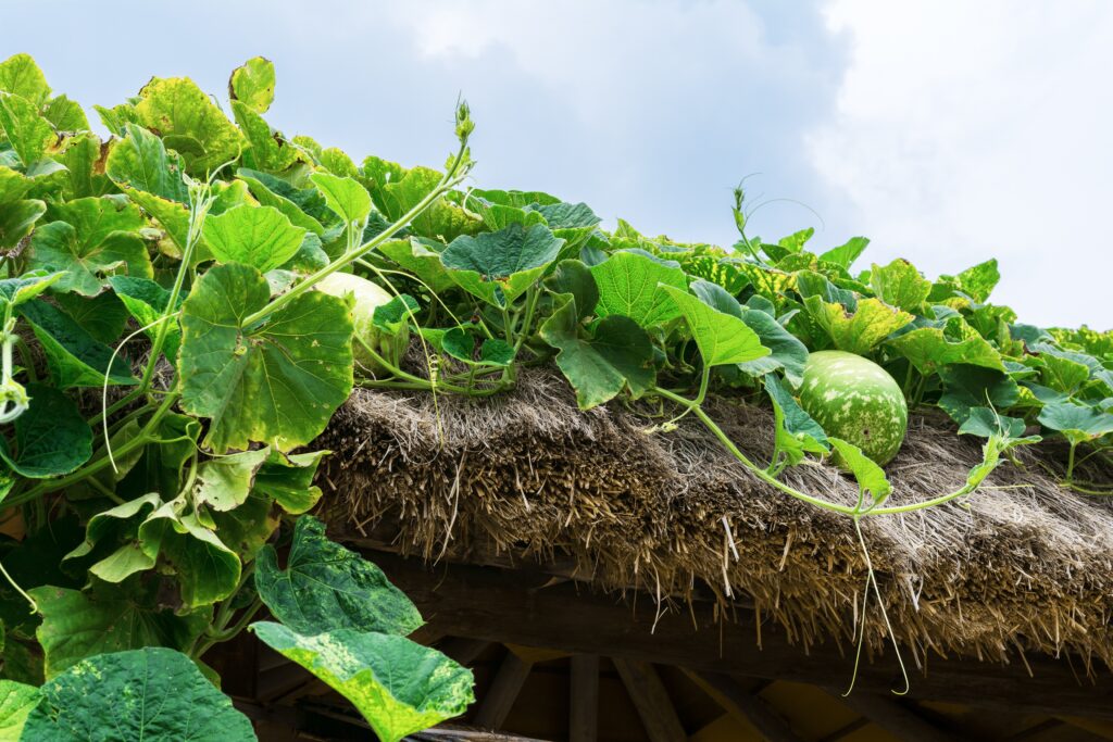 Yield Optimization: Maximizing Every Acre Yield Optimization: Maximizing Every Acre