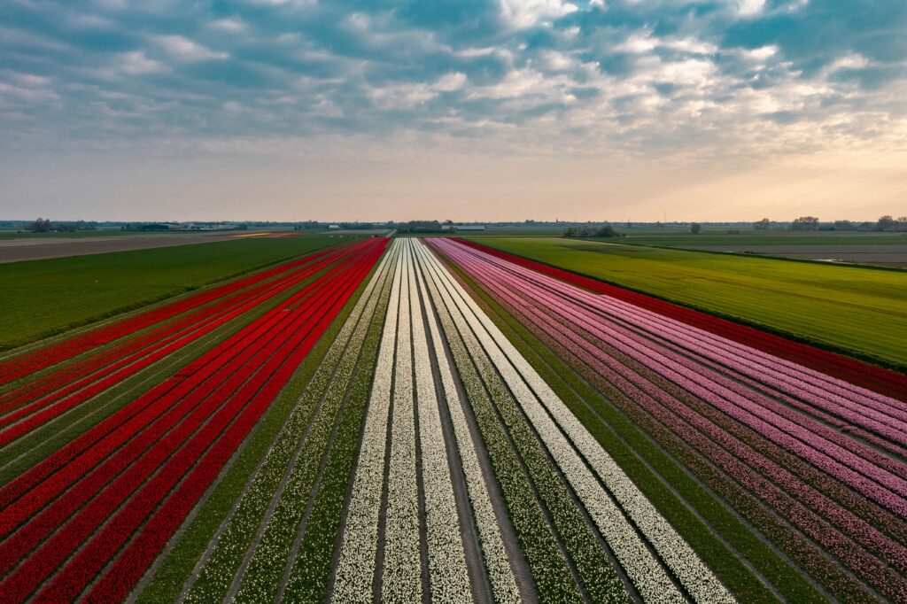 Blockchain-Technology-in-Agriculture